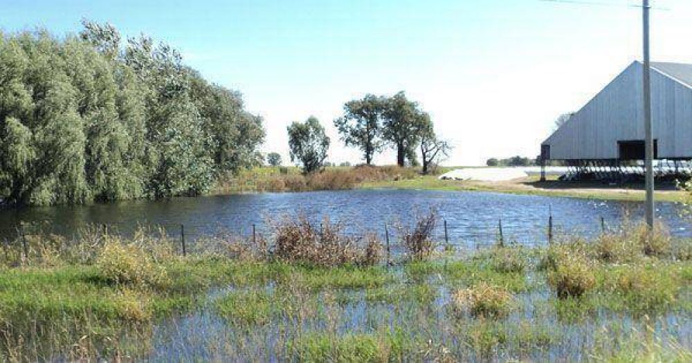 Declararon la emergencia agropecuaria en 13 distritos