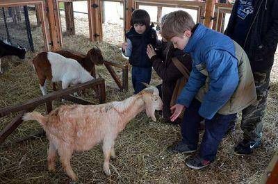 Inaugur� la 128� Exposici�n Rural - �Un viaje al interior del campo�