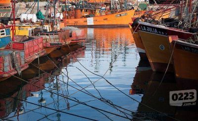 Casi la mitad de los estibadores portuarios no tiene trabajo
