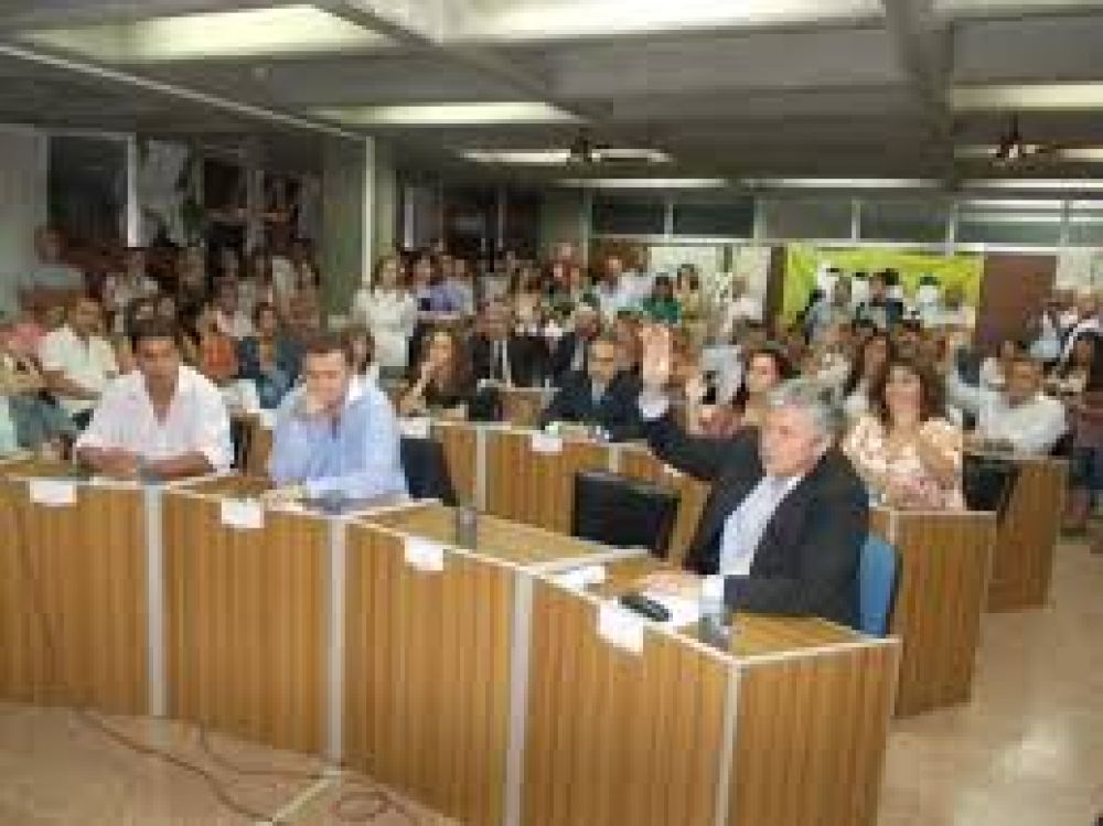 Sesiona el Concejo: Tala indiscriminada, c�maras de seguridad y atenci�n en salud p�blica