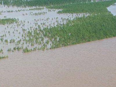 Se entregaron m�s de un mill�n de kilos de alimento y unas 30.000 cabezas de ganado fueron asistidas