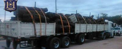Secuestran 57 rollos de algarrobo