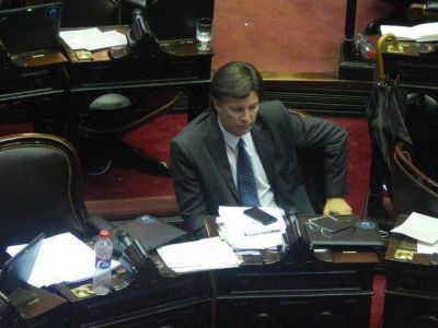 Riccardo entre los diputados que presentaron los proyectos de ley m�s ins�litos en lo que va del a�o