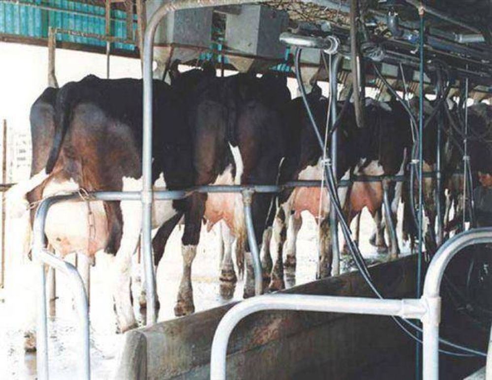 An�lisis de la situaci�n del sector lechero