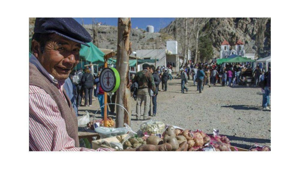 Papa andina: una fiesta para alentar la produccin en la Quebrada del Toro