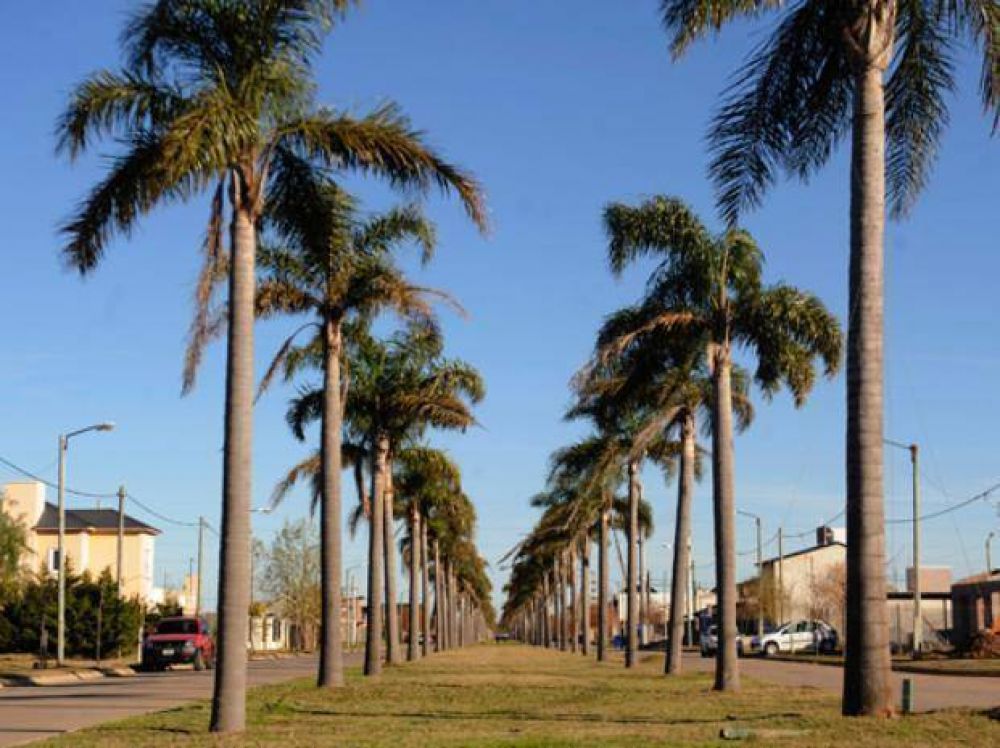 Los nuevos barrios de la regi�n, destino inmediato para unas 20 mil familias