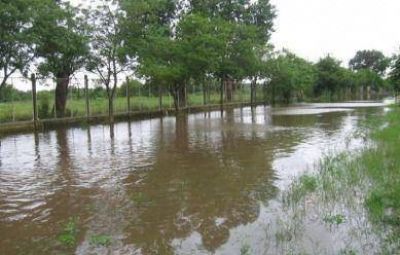 Solicitan que se ample a Tandil la emergencia agropecuaria