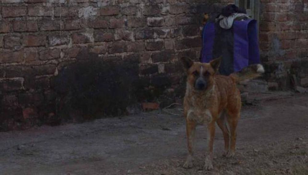 El supuesto femicida pr�fugo se entreg� con 15 kilos menos