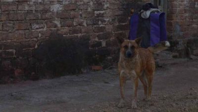 El supuesto femicida pr�fugo se entreg� con 15 kilos menos