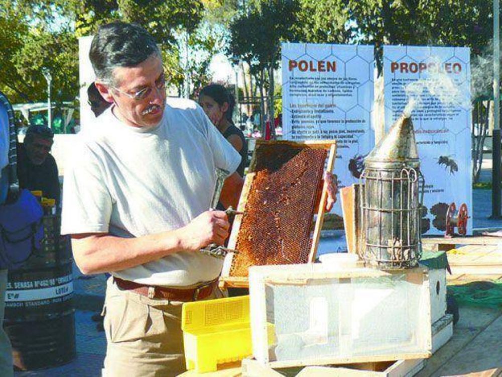 La apicultura crece en Mendoza y ya se produce ms de 860 mil kilos de miel al ao
