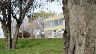 Los graduados de Ingenier�a limpian su huella de carbono