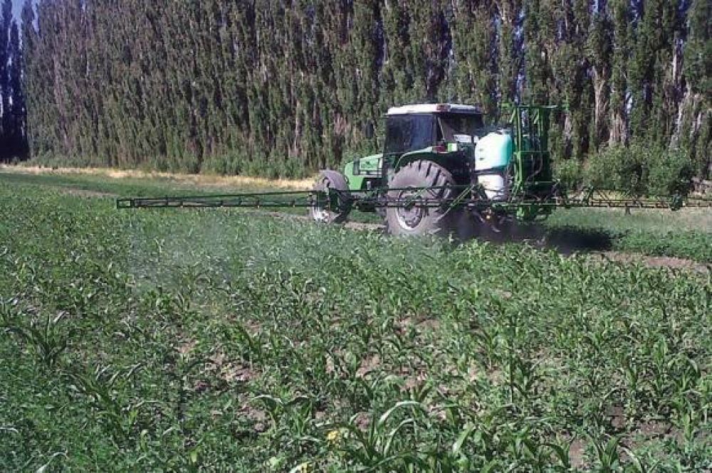 Gobierno y productores trabajan para lograr nuevas formas de producci�n