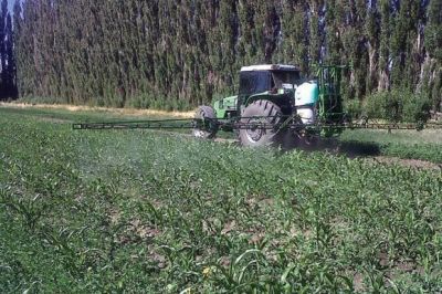 Gobierno y productores trabajan para lograr nuevas formas de producci�n
