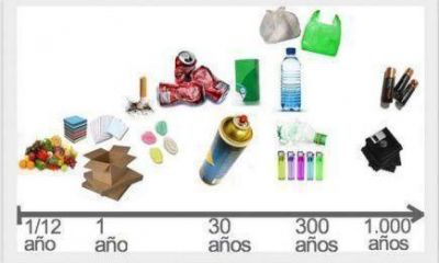 Buscan desarrollar productos a base de mandioca en vez de pl�stico