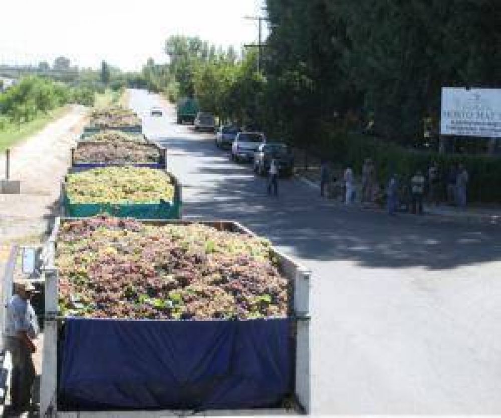 En el primer semestre se export� 5,4% m�s de mosto
