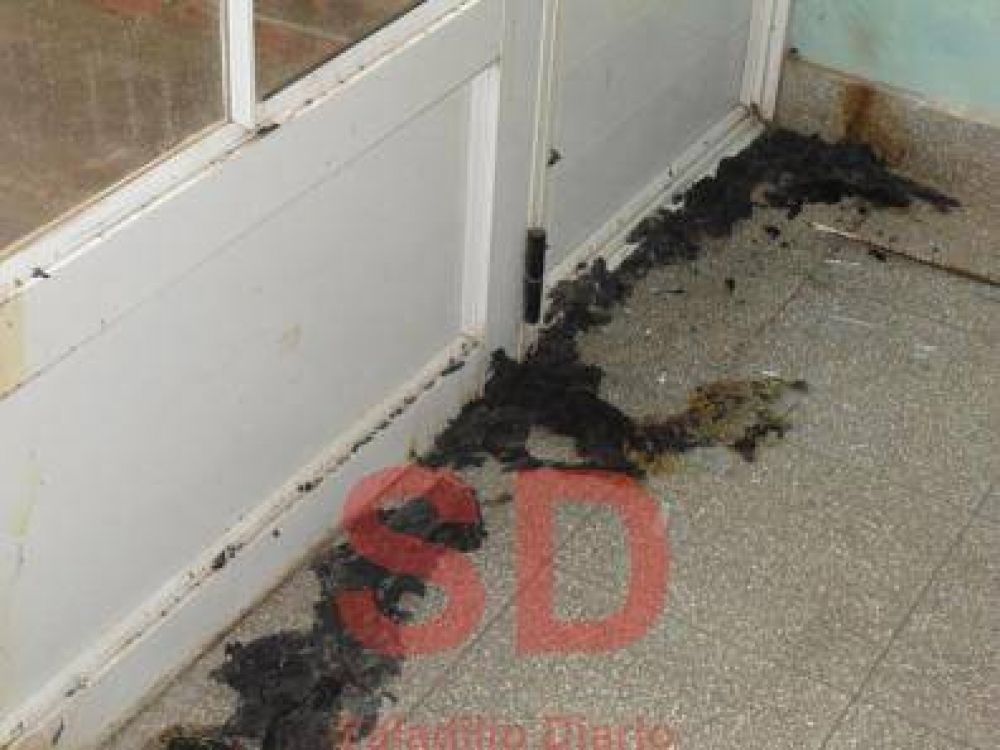 DESTROZOS EN EL CAPS IBARBIA
