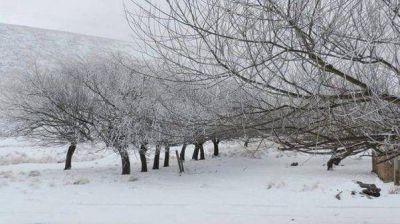 Ya nev� en C�rdoba y Tucum�n y la ola polar empieza a instalarse