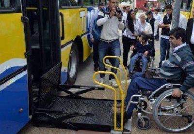 Desde ma�ana habr� nuevos colectivos aptos para sillas de ruedas