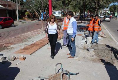 Remodelaci�n de los canteros centrales de avenida Sarmiento