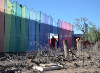 La Municipalidad arranc� de cuajo los �rboles de la vieja terminal