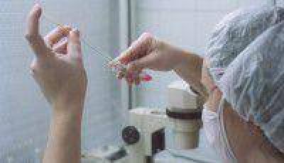 Buscan la adhesi�n a la Ley de Fertilizaci�n Asistida