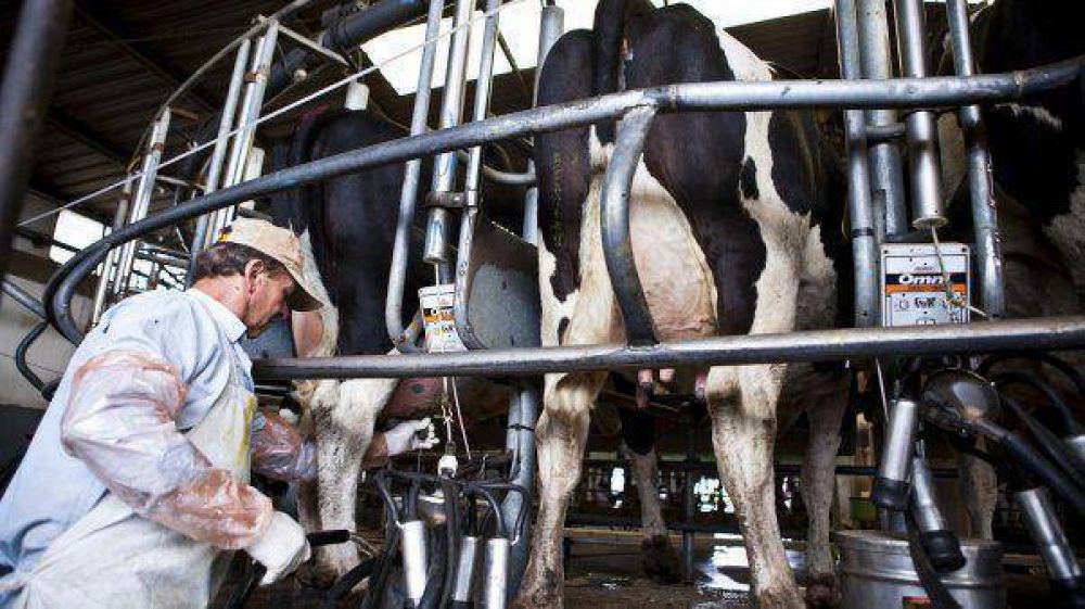 Lanzan nueva lnea de crdito de $500 millones para productores lecheros