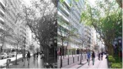 Casco hist�rico: plan de intervenciones y obras