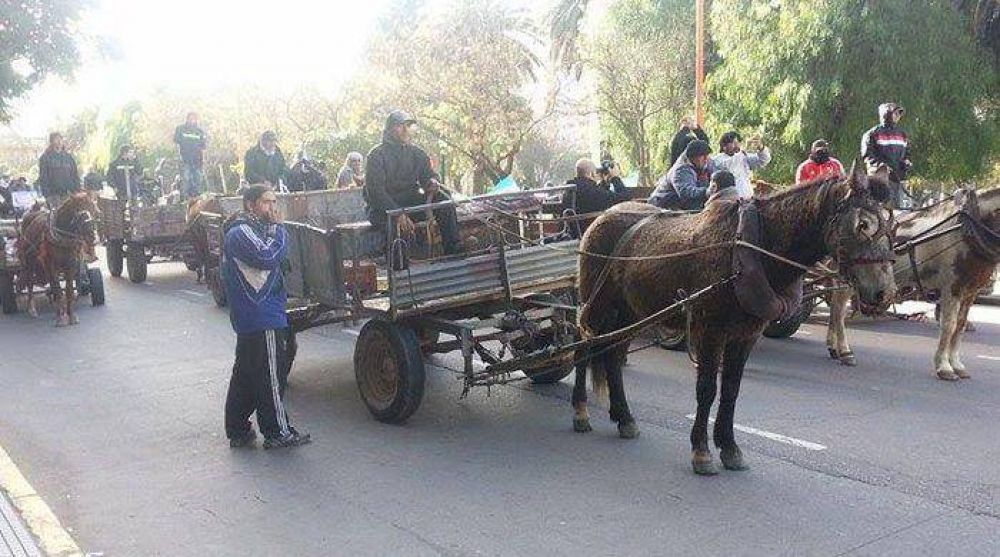 Planta de reciclado: el municipio empez� a convocar a cartoneros
