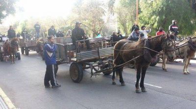 Planta de reciclado: el municipio empez� a convocar a cartoneros