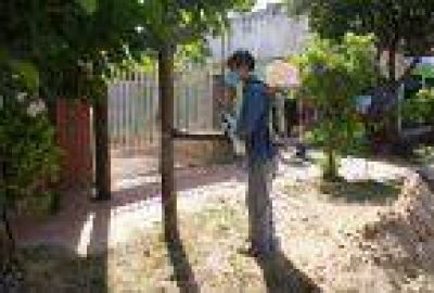 Dengue: Labores en 12 de Octubre