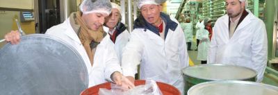 Agroandina alcanz� este a�o, una producci�n de tomates cercana a los 25 millones de kilos