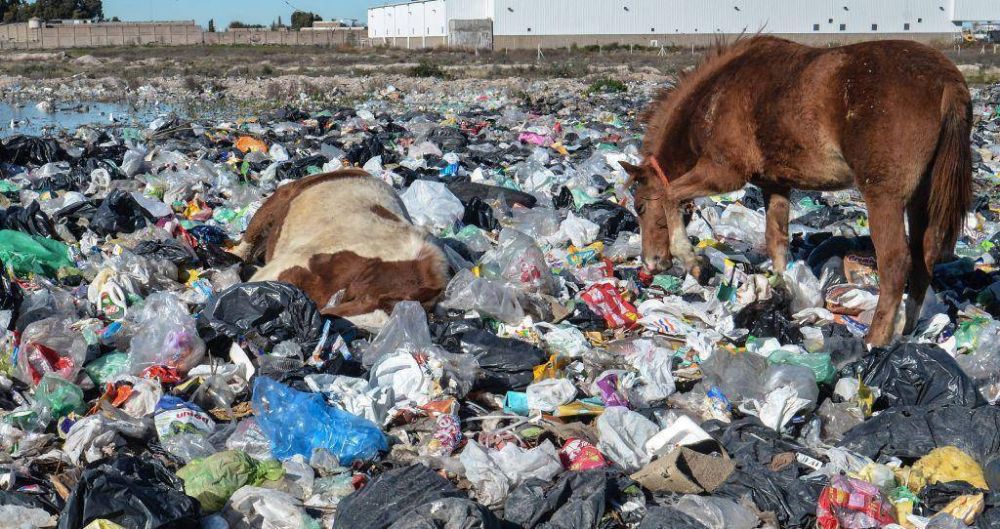 La Planta de Reciclado se pondr�a en marcha a partir de octubre