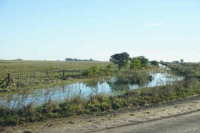 Olavarr�a tambi�n pide declarar la emergencia agropecuaria del distrito 