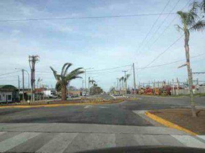 R�pida respuesta municipal: colocan luces e implantan palmeras