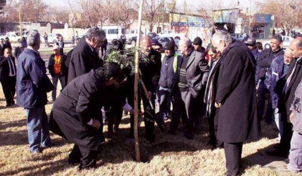 Entregar�n �rboles s�lo a 12 municipios �cumplidores�
