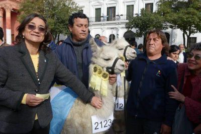 Luc�a: �Apostamos a que estas llamas sigan una verdadera industria futura en la provincia�