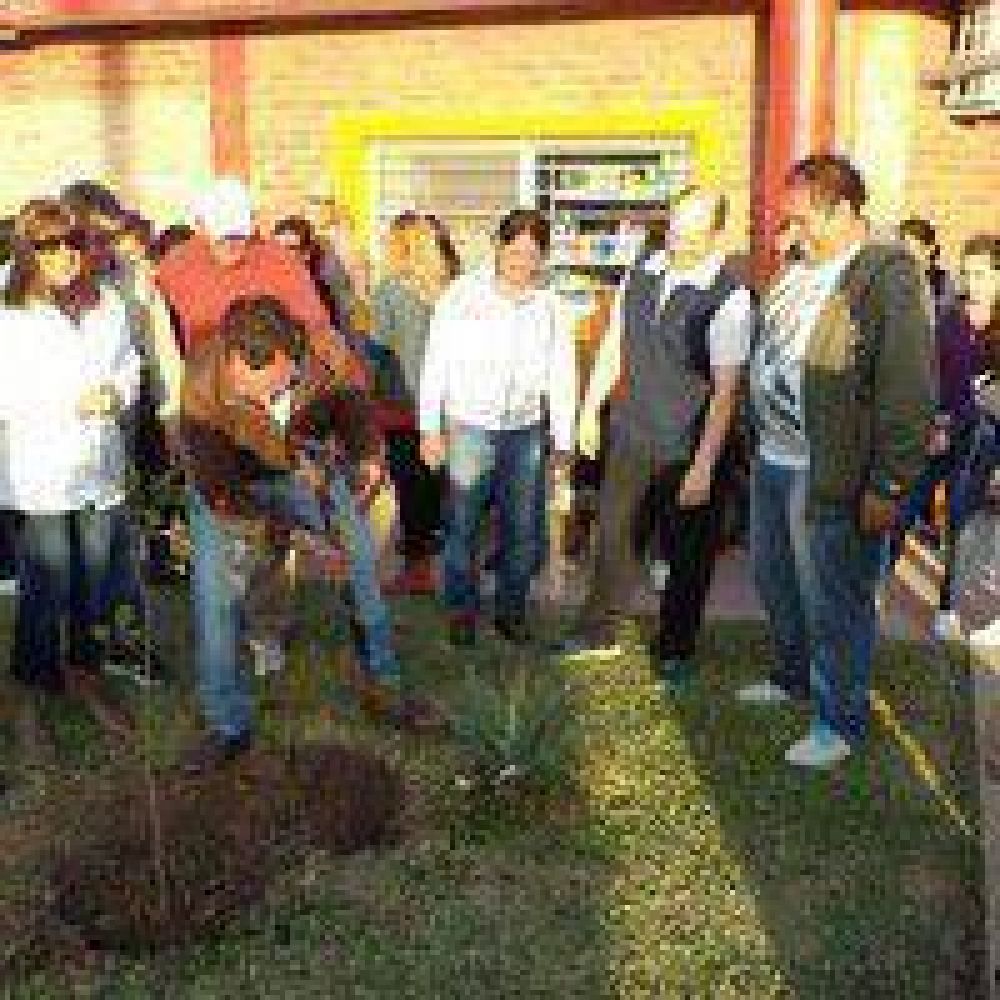 Intervenci�n de servicios y plantaci�n de �rboles en el Barrio Legislativo