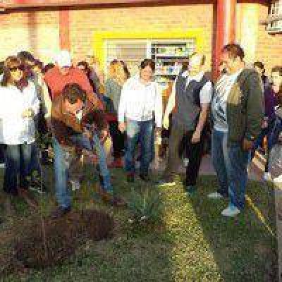 Intervenci�n de servicios y plantaci�n de �rboles en el Barrio Legislativo