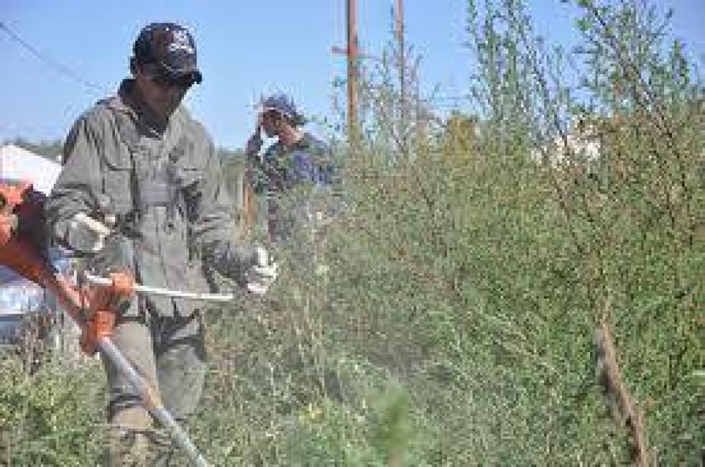 Firmar�n un convenio para ejecutar obras de desmalezamiento en terrenos del IPV 