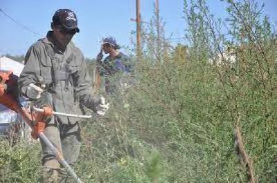 Firmar�n un convenio para ejecutar obras de desmalezamiento en terrenos del IPV 