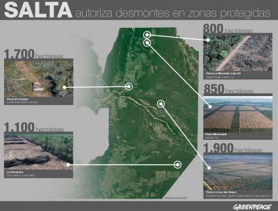 En solo dos meses arrasaron en Salta con miles de hect�reas de bosques protegidos