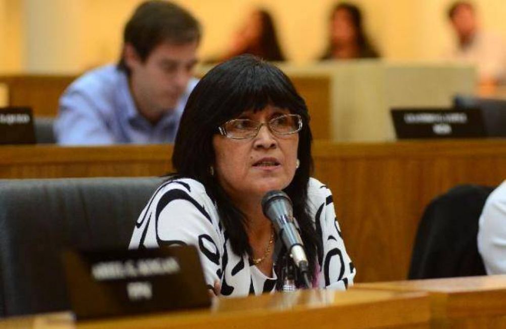 Teresa Rioseco renunci� a la Junta Electoral Municipal