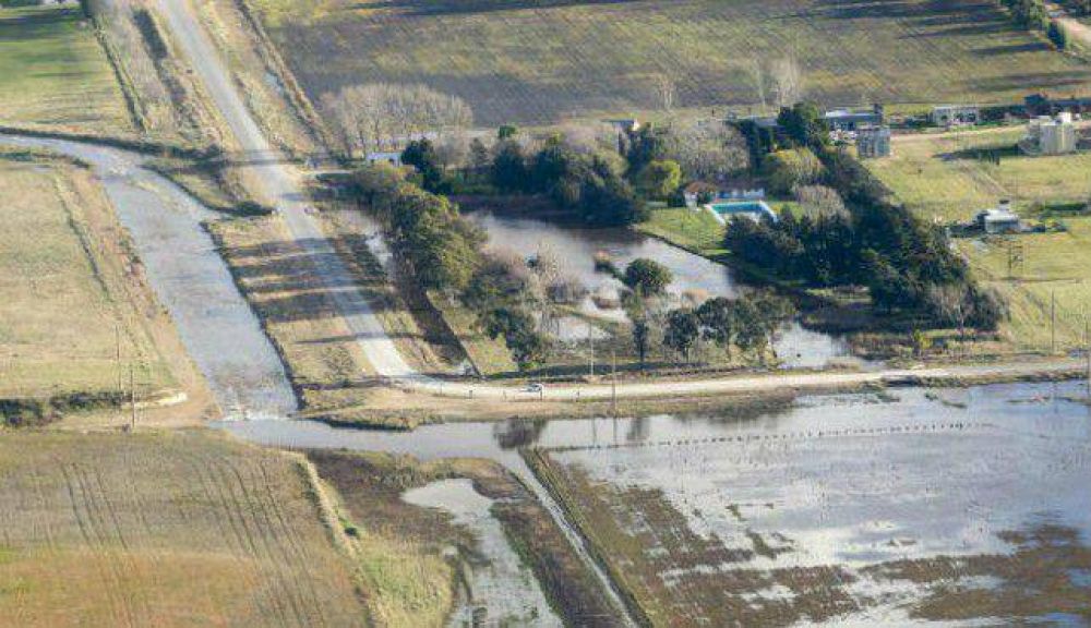 Dictaron emergencia agropecuaria, pero Tres Arroyos no est� inclu�da