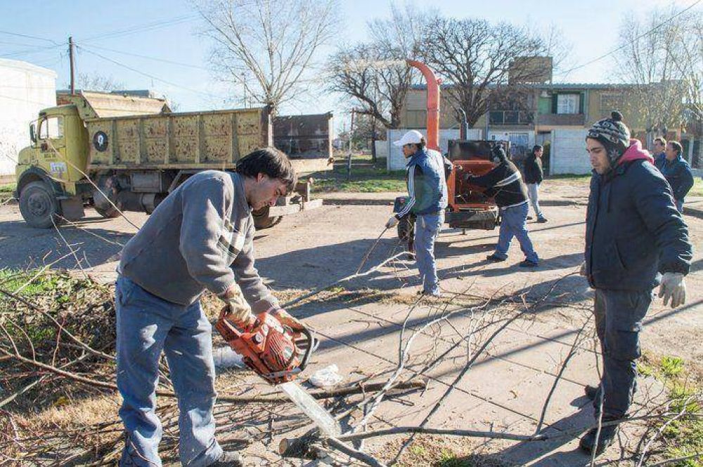 El Gobierno Municipal contin�a recolectando el material de poda de la ciudad