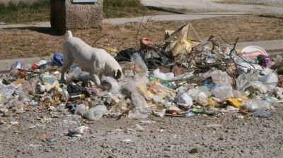 Vecinos piden el retiro de residuos de las calles