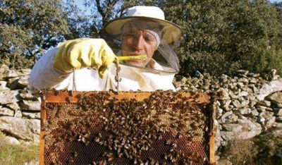 El Ministerio de Producci�n prepara la semana de la miel