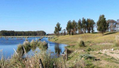 Se suspendi� licitaci�n por agua potable para Claromec�