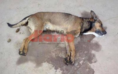 Conmoci�n en la ciudad de La Banda por la matanza de perros