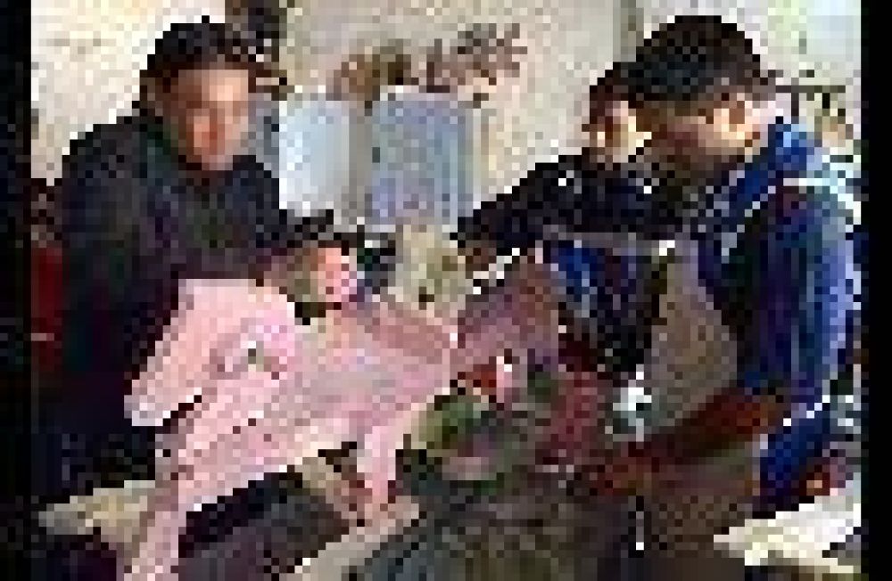 M�s de 450 internos ya fabrican juguetes para el D�a del Ni�o