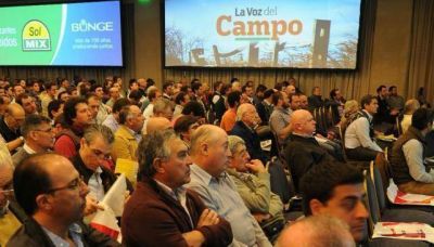 El manejo, la llave para que la soja se acerque a su potencial de rendimiento